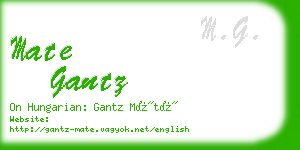 mate gantz business card
